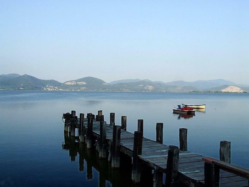 Melon'S House Villa Torre del Lago Puccini Exterior photo